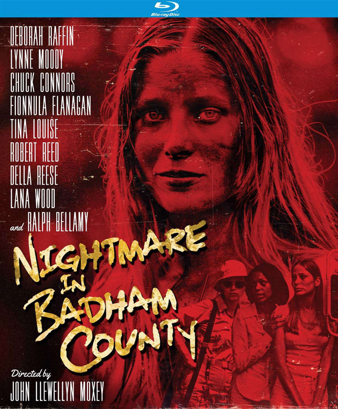 Nightmare In Badham County -  1976