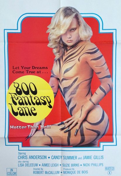 800 Fantasy Lane -  1979